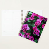 Fleurs tulipes roses (Devant avec enveloppe)