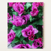 Fleurs tulipes roses (Dos)