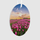 Fleurs | Tulips Holland Sud, Pays-Bas (devant)