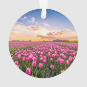 Fleurs | Tulips Holland Sud, Pays-Bas (dos)