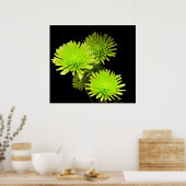 Fleurs vertes Imprimer / Poster (Cuisine)