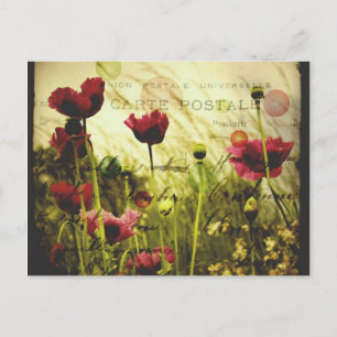 Fleurs vintages Carte postale