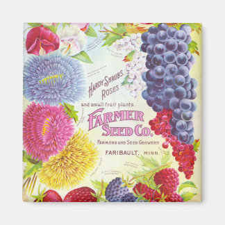 Fleurs vintages et aimant à fruits