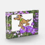 Fleurs violettes avec Crocus violets Bloc photo (Gauche)