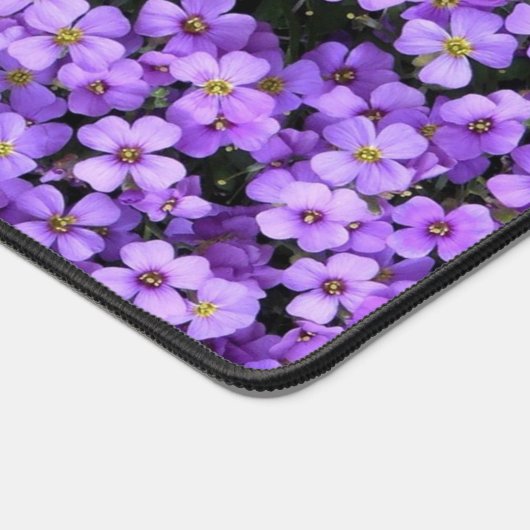 Fleurs violettes Belles Violettes (Coin)