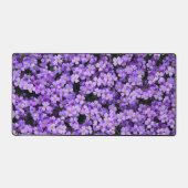 Fleurs violettes Belles Violettes (Recto)