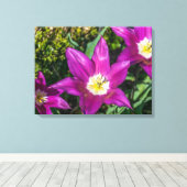 Fleurs violettes et jaunes afficher impression de (Insitu (Plancher de Bois))