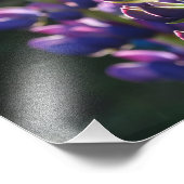 Fleurs violettes Impression photo de printemps (Coin)