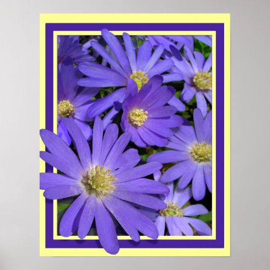 Fleurs violettes Imprimer Bleu Faisceaux Poster d' (Devant)