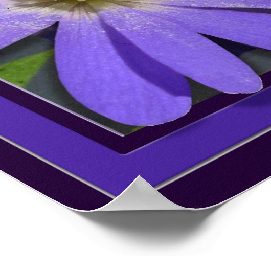 Fleurs violettes Imprimer Bleu Faisceaux Poster d' (Coin)