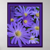 Fleurs violettes Imprimer Bleu Faisceaux Poster d' (Devant)