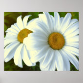 Fleurs violettes Imprimer Classic Daisies Poster I (Devant)