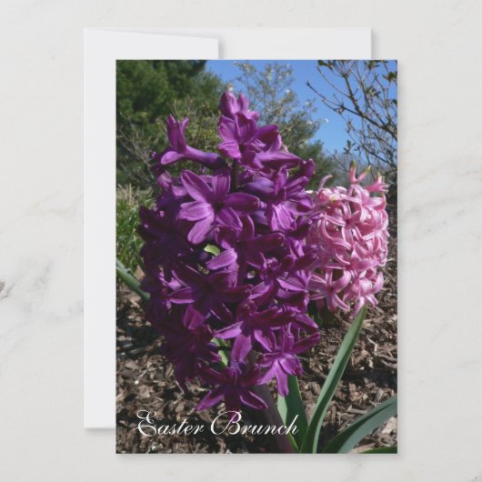 Fleurs violettes Invitations de Brunch de Pâques (Devant)