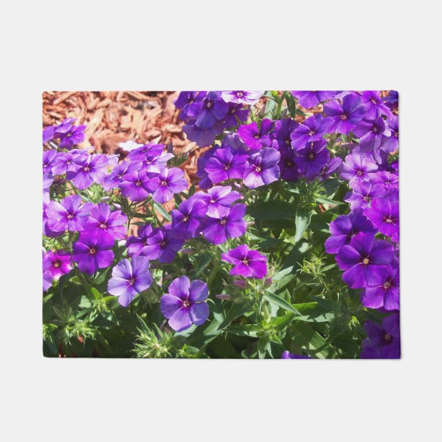 Fleurs violettes Phlox sur un tapis de porte (Devant)