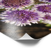 Fleurs violettes Photo Kodak (Coin)