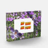 Fleurs violettes rayées Crocus Cust. Bloc photo (Gauche)