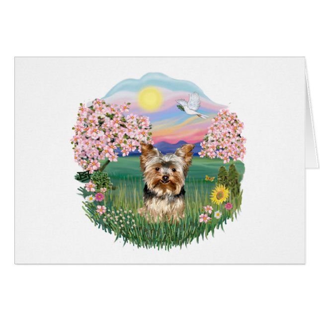 Fleurs - Yorkshire Terrier (#17) (Devant horizontal)