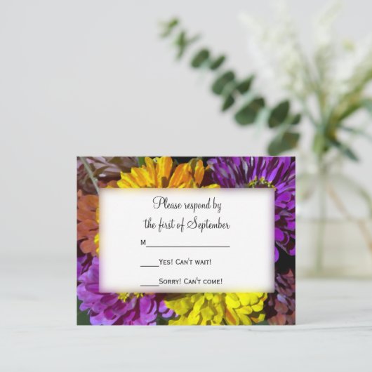 Fleurs Zinnia colorées Mariage RSVP (Debout devant)