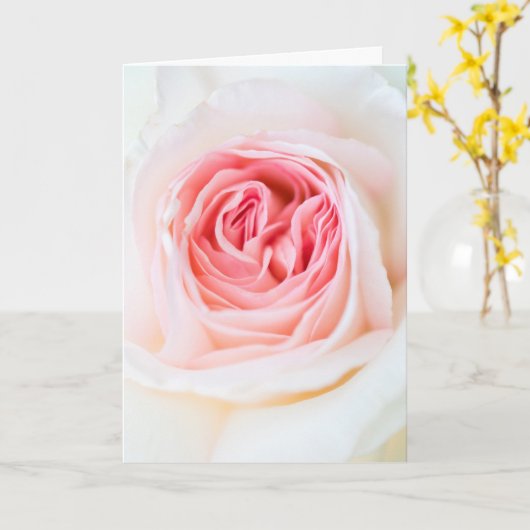 "FLEUVE ROSE BLANCHE" CARTE FLORALE (Fleur jaune)