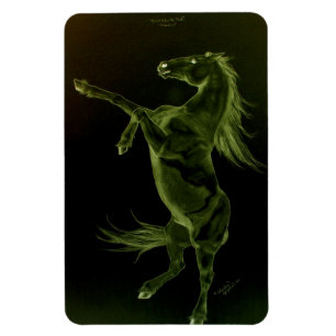 Flexi Magnet, een paardenfokkerij Magneet