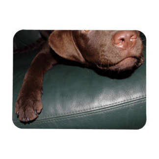 Flexi Magnet Labrador Lorenzo Magneet