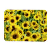 Flexibel fotomagneet magneet (Horizontaal)