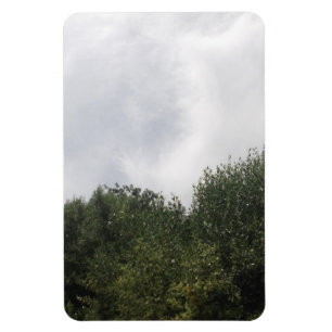 Flexibel fotomagneet magneet