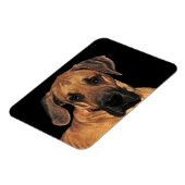 Flexibel magneet met daandog (Linkerzijde)