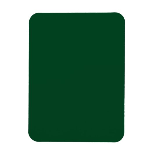 Flexibel magneet met groene achtergrond voor Everg (Verticaal)