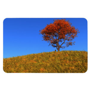 Flexibel magneet op de volgende dag wissen