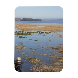 Flexibele foto-magneet van Morecambe Bay met hoge  Magneet
