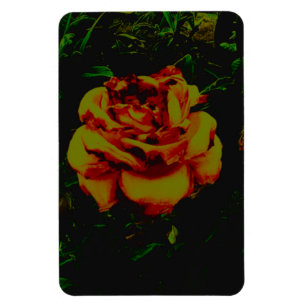 Flexibele Fotomagneet gouden eco Magneet