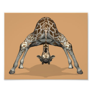 Flexibele Giraffe Foto Afdruk