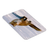 Flexibele koelkast voor rode Arctische winter Magneet (Rechterzijde)