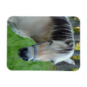 Flexibele magneet met Noors fjordenpaard (Horizontaal)