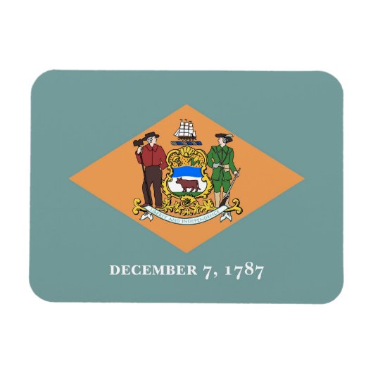 Flexibele patriottische magneet met Delaware vlag (Horizontaal)