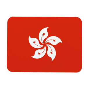 Flexibele patriottische magneet met vlag van Hongk