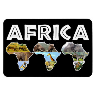 Flexible Afrique Faune Continent Trio Collage Magnet