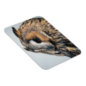 Flexible Aigle Chouette Aigle Premium Magnet (Côté Droit)