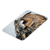 Flexible Aigle Chouette Aigle Premium Magnet (Côté Gauche)