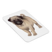 Flexible Aimable Carlin Chien Premium Magnet (Côté Droit)