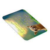 Flexible Alpaca Gold Turquoise Bible Verse Photo Magnet (Côté Droit)