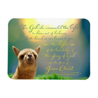 Flexible Alpaca Gold Turquoise Bible Verse Photo Magnet