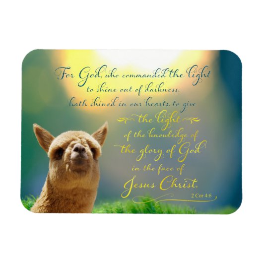 Flexible Alpaca Gold Turquoise Bible Verse Photo Magnet (Horizontal)