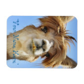 Flexible Alpaca Photo Magnet "Mets ton nom" (Horizontal)