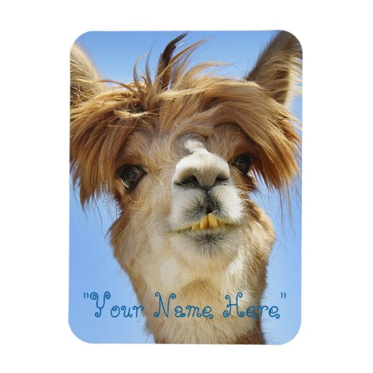 Flexible Alpaca Photo Magnet "Mets ton nom" (Vertical)