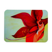 Flexible Amaryllis Magnet en fleurs (Horizontal)