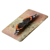 Flexible Amiral rouge Papillon Flexi Magnet (Côté Gauche)