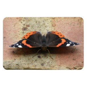 Flexible Amiral rouge Papillon Flexi Magnet