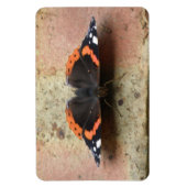 Flexible Amiral rouge Papillon Flexi Magnet (Vertical)